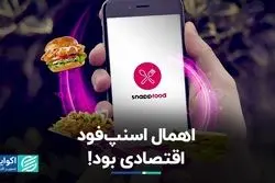 اهمال اسنپ‌فود اقتصادی بود!