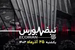 رشد بورس با پیشتازی شرکت‌های دلاری