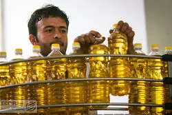 سود‌ بازرگانی صفر برای واردات روغن خام و دانه های روغنی