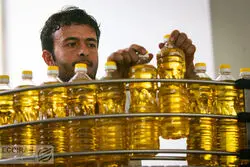 سود‌ بازرگانی صفر برای واردات روغن خام و دانه های روغنی