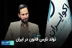تولد نارس قانون در ایران