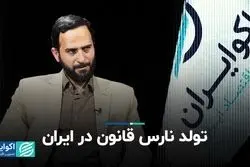 تولد نارس قانون در ایران