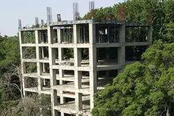  نقشه زاکانی برای باغات تهران خطرناک‌تر ازطرح احمدی نژاد

