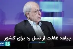 پیامد غفلت از نسل زد برای کشور