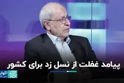پیامد غفلت از نسل زد برای کشور