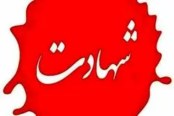 معاون فرمانده بسیج در حمله دشمن به تهران به شهادت رسید
