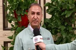 کسب تندیس صادرکننده نمونه ملی؛ تجلی تجربه، تعهد و تخصص در فولاد هرمزگان/ صادرات، رکن اصلی استراتژی فولاد هرمزگان