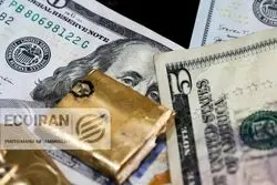 بانک مرکزی به دنبال جذب دلارهای راکد؛ صندوق‌های درآمد ثابت ارزی چه ویژگی‌هایی دارند؟