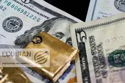 بانک مرکزی به دنبال جذب دلارهای راکد؛ صندوق‌های درآمد ثابت ارزی چه ویژگی‌هایی دارند؟