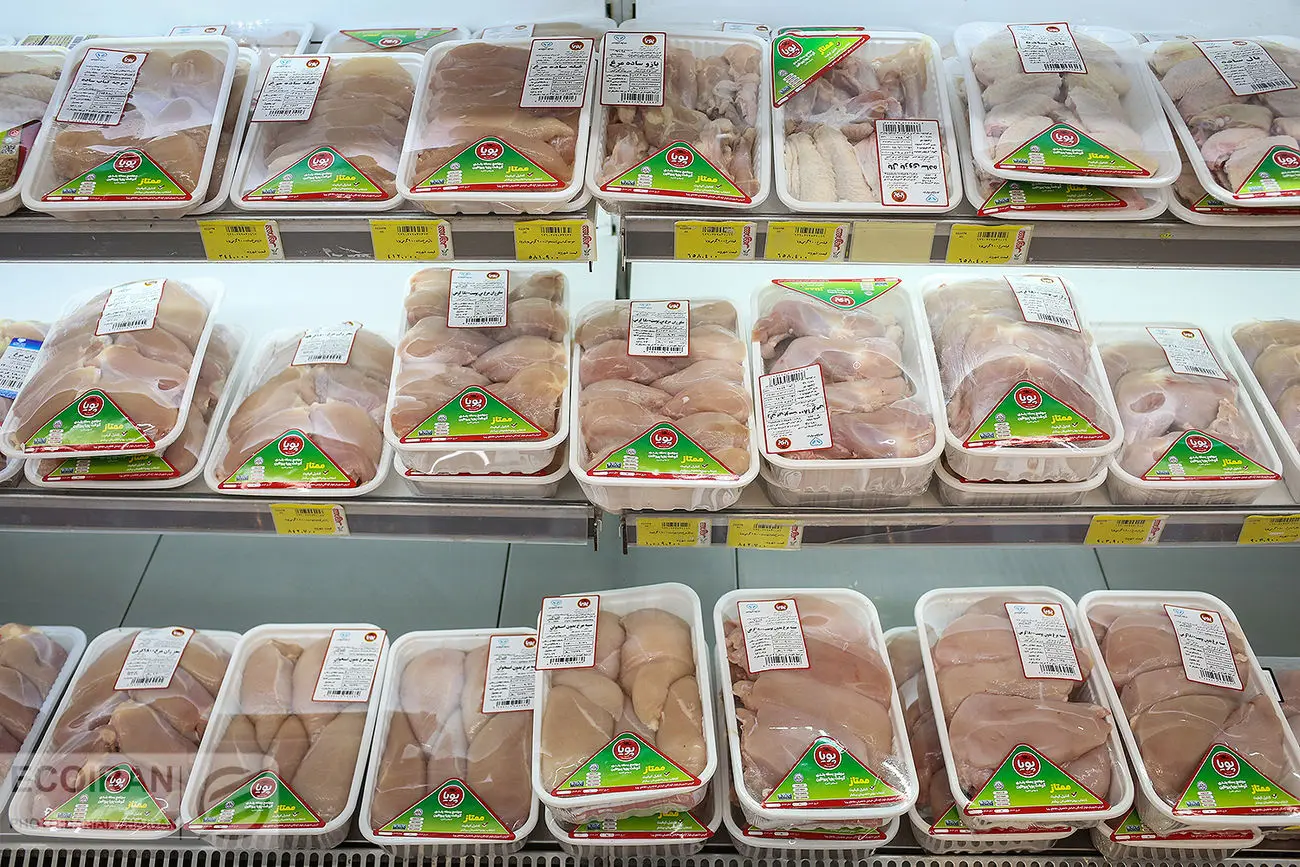 دو روز منتظر بمانید، قیمت مرغ مشخص می‌شود/ قیمت توافقی فعلی 73 هزار تومان 