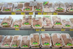 اظهارات سرپرست جهاد کشاورزی درباره مرغ