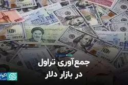 جمع‌آوری تراول در بازار دلار