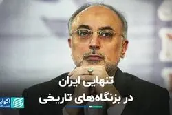 صالحی: ایران در طول تاریخ دچار تنهایی استراتژیک بوده