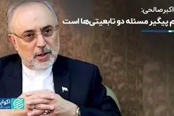 علی‌اکبر صالحی: نظام پیگیر مسئله دو تابعیتی‌ها است