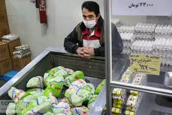 آدرس فروش مرغ ارزان در تهران 