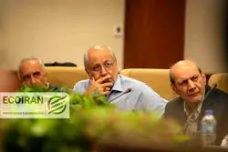 نیلی: تا به ‌امروز سیاستمدار ما خودش نشسته و قیمت تعیین کرده است، به همین دلیل هیچ تمرینی برای نظام تک‌نرخی و تن دادن به قیمت بازار ندارد