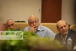 نیلی: تا به ‌امروز سیاستمدار ما خودش نشسته و قیمت تعیین کرده است، به همین دلیل هیچ تمرینی برای نظام تک‌نرخی و تن دادن به قیمت بازار ندارد