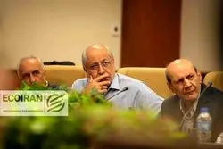 نیلی: تا به ‌امروز سیاستمدار ما خودش نشسته و قیمت تعیین کرده است، به همین دلیل هیچ تمرینی برای نظام تک‌نرخی و تن دادن به قیمت بازار ندارد