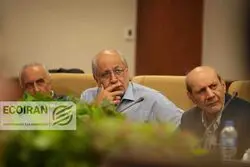 نیلی: تا به ‌امروز سیاستمدار ما خودش نشسته و قیمت تعیین کرده است، به همین دلیل هیچ تمرینی برای نظام تک‌نرخی و تن دادن به قیمت بازار ندارد
