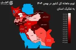 کدام استان بالاترین تورم را در بهمن داشت؟