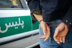 اسیدپاشی در یک خیابان مرکزی تهران / اسیدپاش دستگیر شد