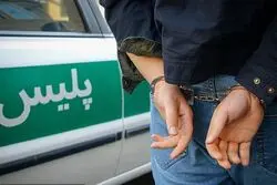 اسیدپاشی در یک خیابان مرکزی تهران / اسیدپاش دستگیر شد