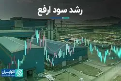 رشد سود ارفع