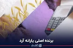 برنده اصلی یارانه آرد