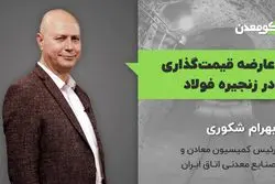 عارضه قیمت گذاری در زنجیره فولاد