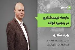 عارضه قیمت گذاری در زنجیره فولاد