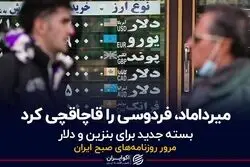 میرداماد، فردوسی را قاچاقچی کرد