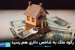 رکود ملک به شاخص دلاری هم رسید