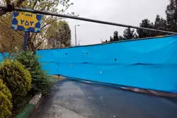 پشت پرده شایعه حفاری در قطعه 252 بهشت زهرا 