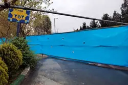 حفاری مرموز در بهشت زهرا؛ روایت دوگانه شورا و میراث
