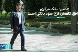 وزیر اقتصاد:بانک مرکزی موافق کاهش نرخ سود بانکی است
