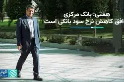 وزیر اقتصاد:بانک مرکزی موافق کاهش نرخ سود بانکی است