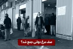 صف مرغ دولتی جمع شد ؟