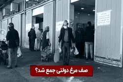 صف مرغ دولتی جمع شد ؟
