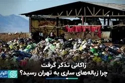 زاکانی تذکر گرفت؛ ماجرای جنجالی زباله های ساری که به تهران رسید+ فیلم