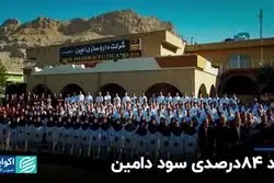 رشد 84درصدی سود «دامین» در بورس تهران