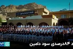 رشد 84درصدی سود «دامین» در بورس تهران