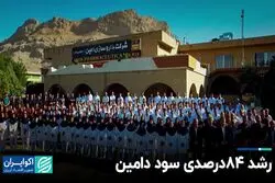 رشد 84درصدی سود «دامین» در بورس تهران