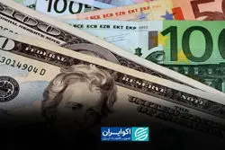 از تخلف ارز ترجیحی تا افشای نام تراستی