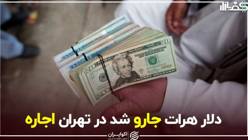 دلار هرات جارو شد، در تهران اجاره