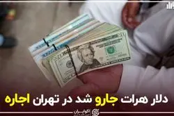 دلار هرات جارو شد، در تهران اجاره