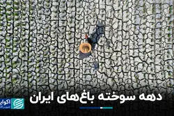 دهه سوخته باغ‌های ایران