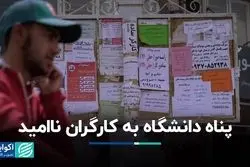 دانشگاه، پناه کارگران ناامید