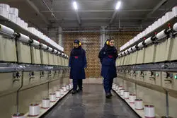 سرمایه‌گذاری در پیچ؛ تولید با قیمت‌گذاری دستوری قفل شد