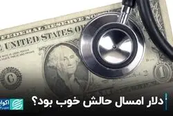 دلار امسال حالش خوب بود؟