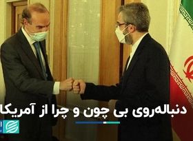 دنباله‌روی بی‌ چون و چرا از آمریکا